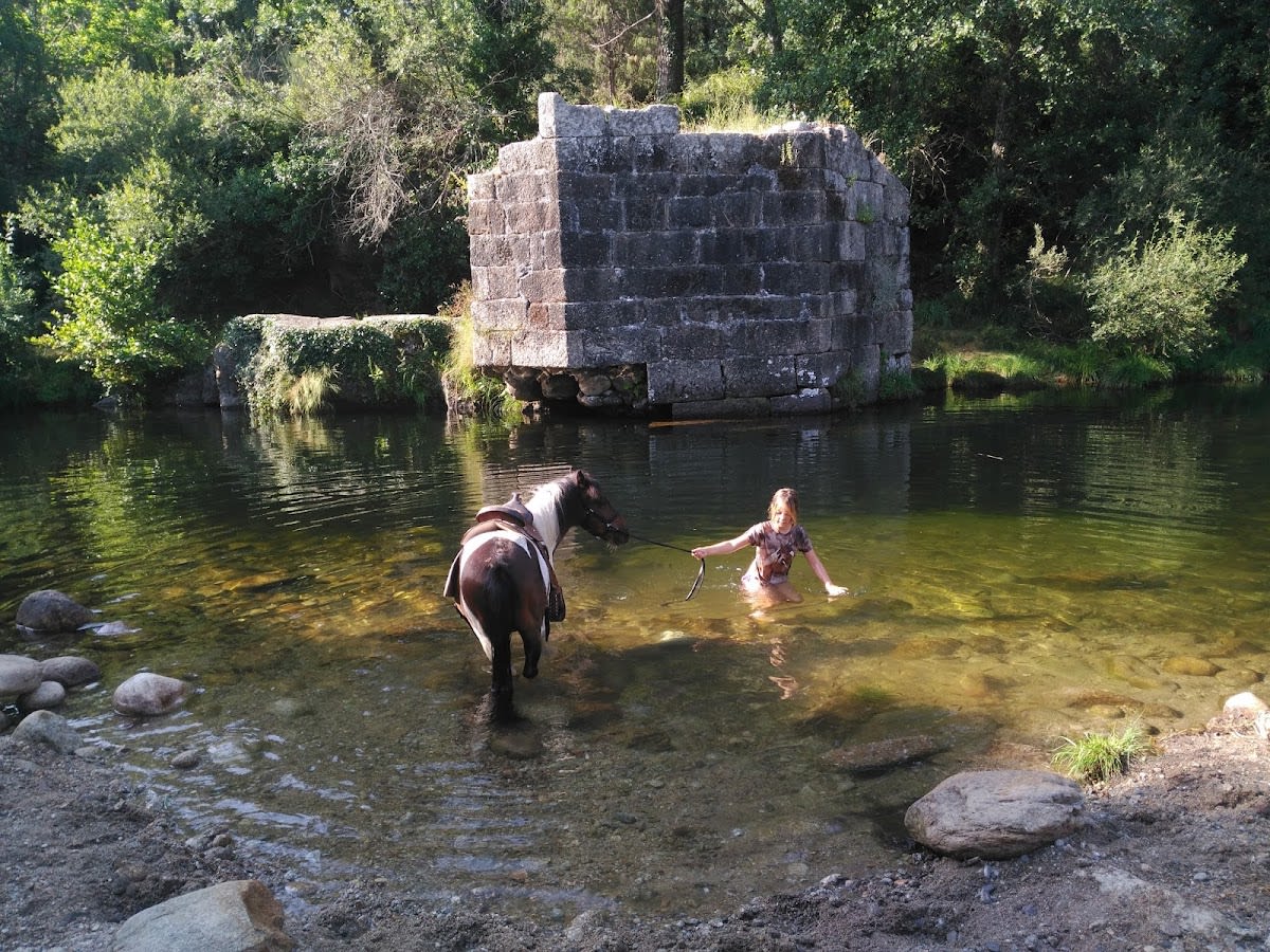 Escuela de caballos El Ponyclub - Hipica in Villanueva de la Vera