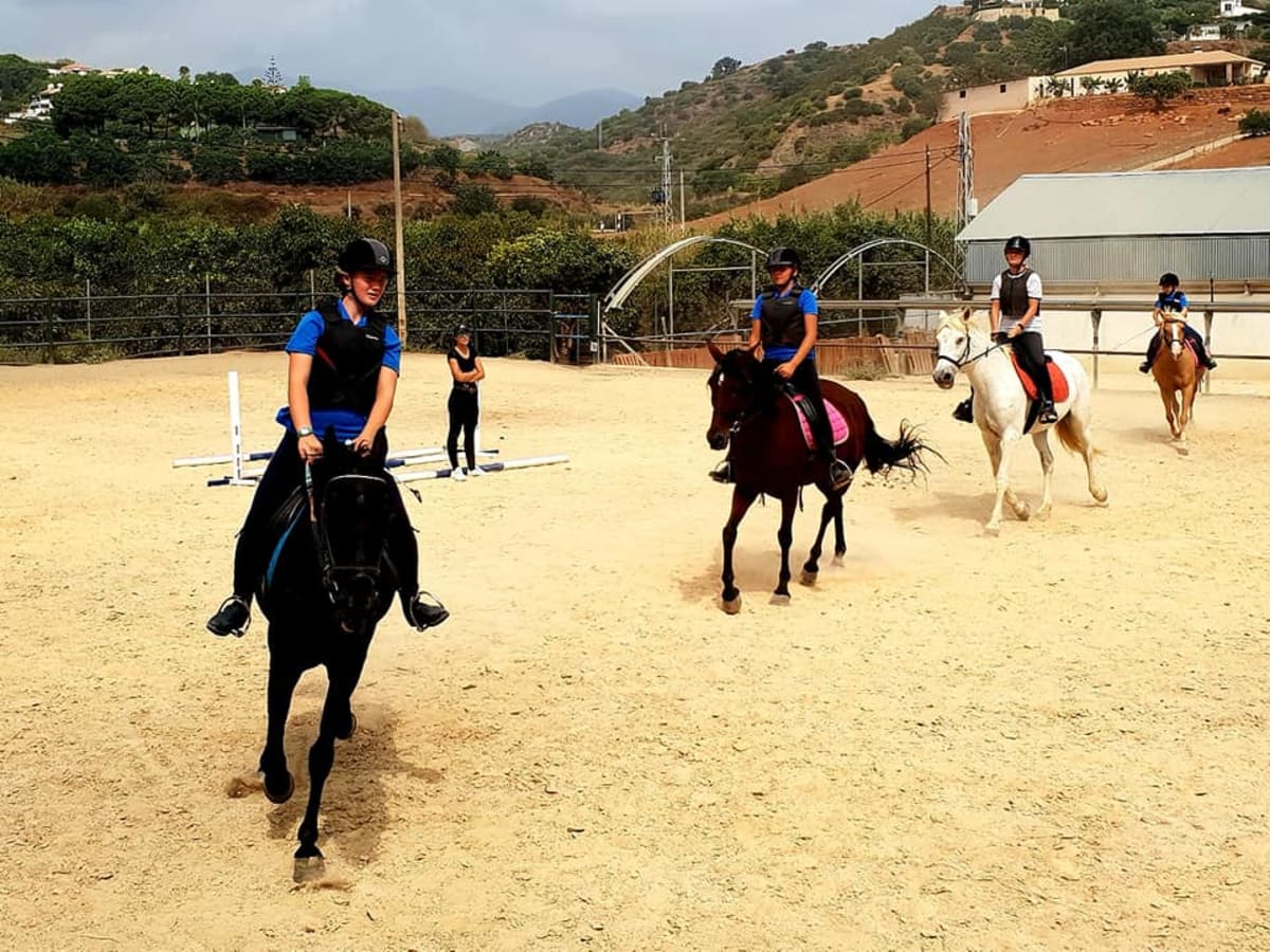 Happy Horse Riding Academy - Hipica in San Roque
