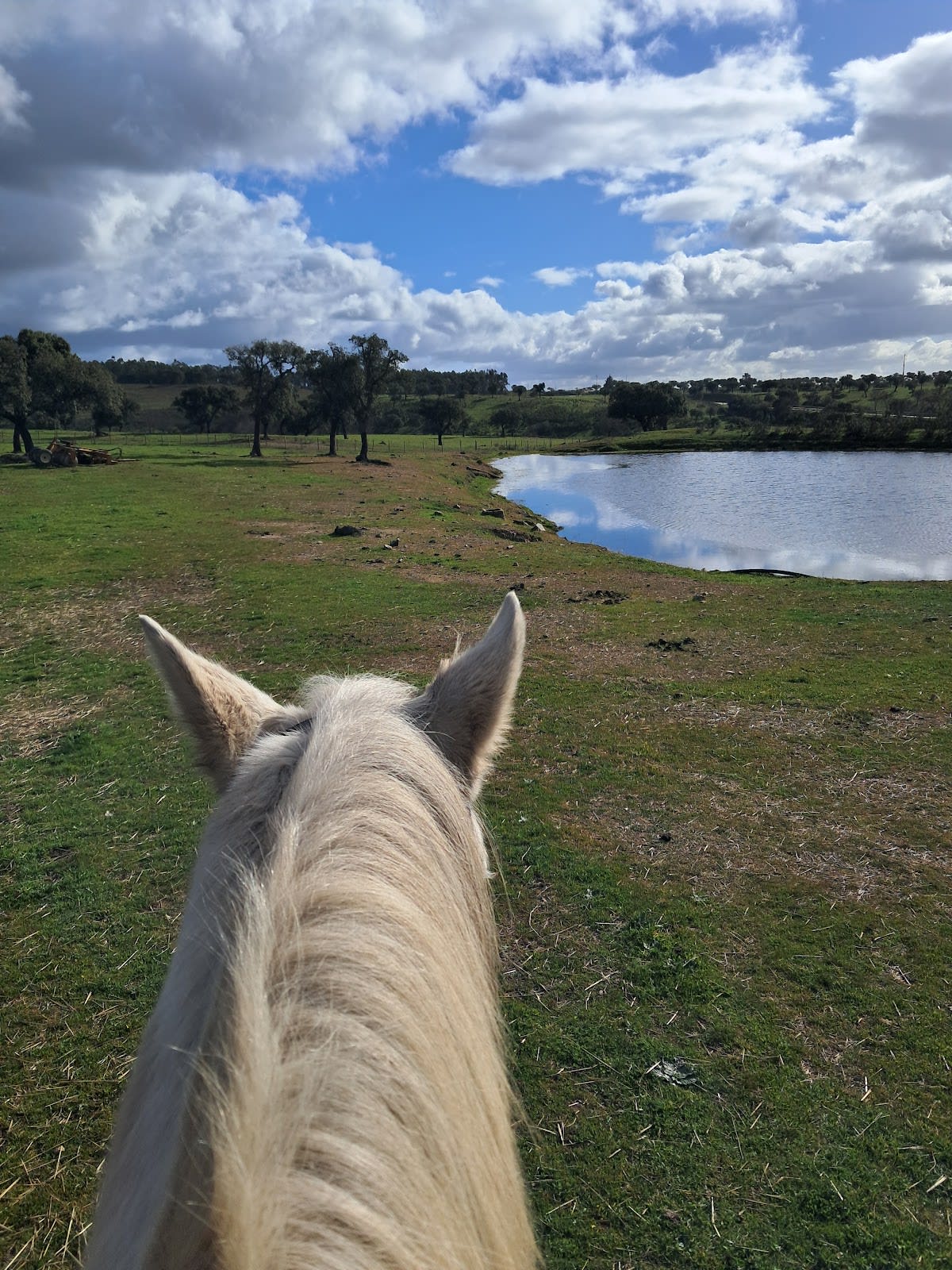 A Cavalo Na Raia Turismo Equestre - Hipica in Penha Garcia