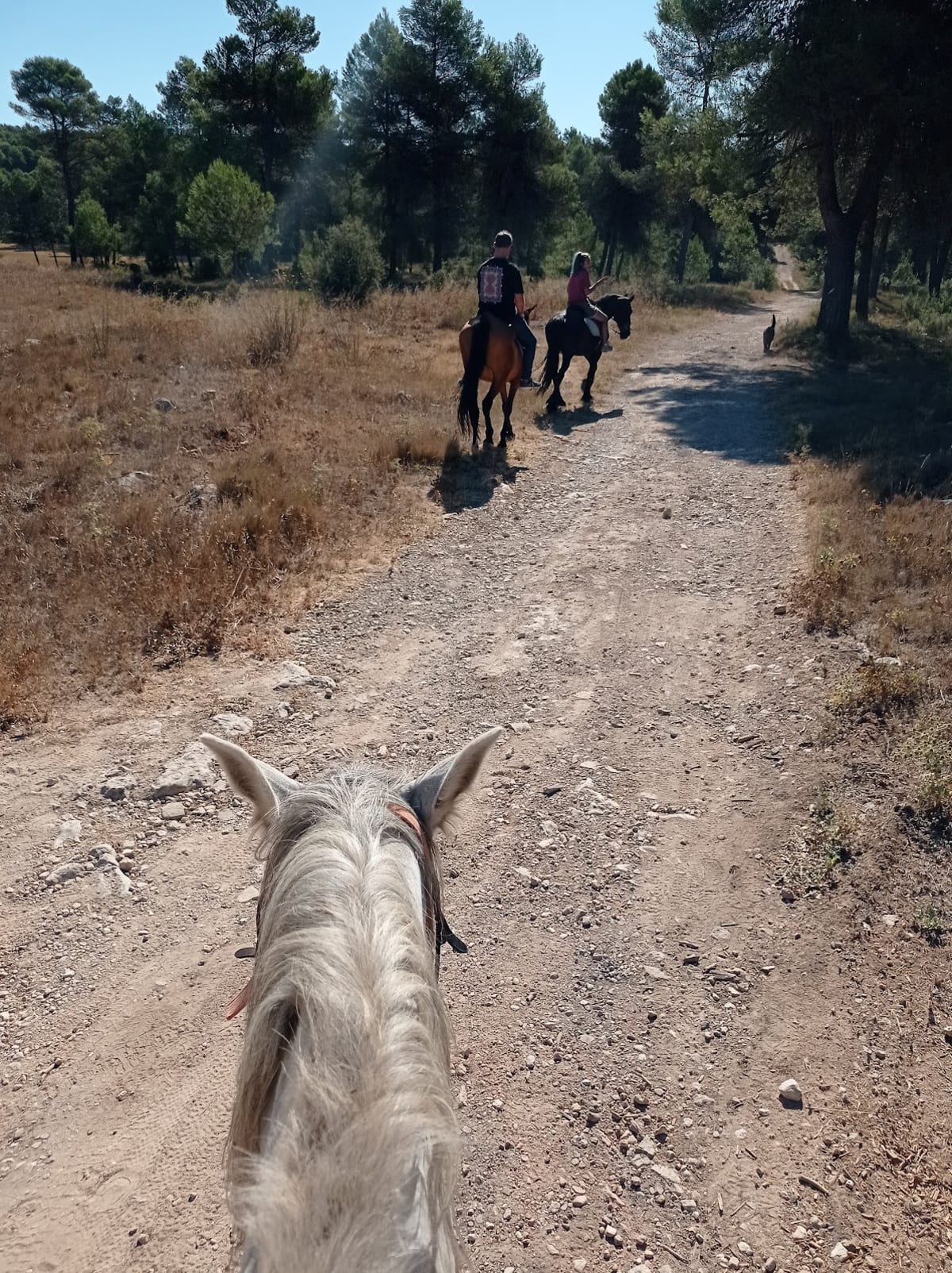 Equitacion mariola - Hipica in Bocairent
