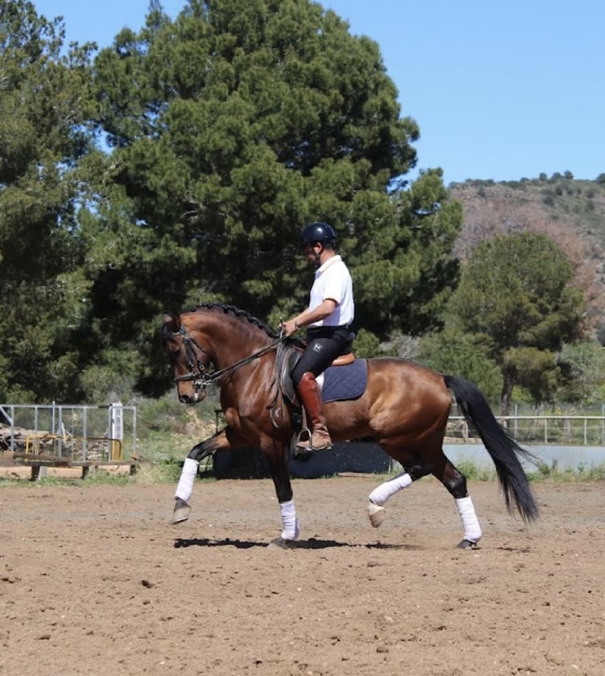 YEGUADA CORTES-HERNANDEZ - Hipica in La Vall d'Uixó