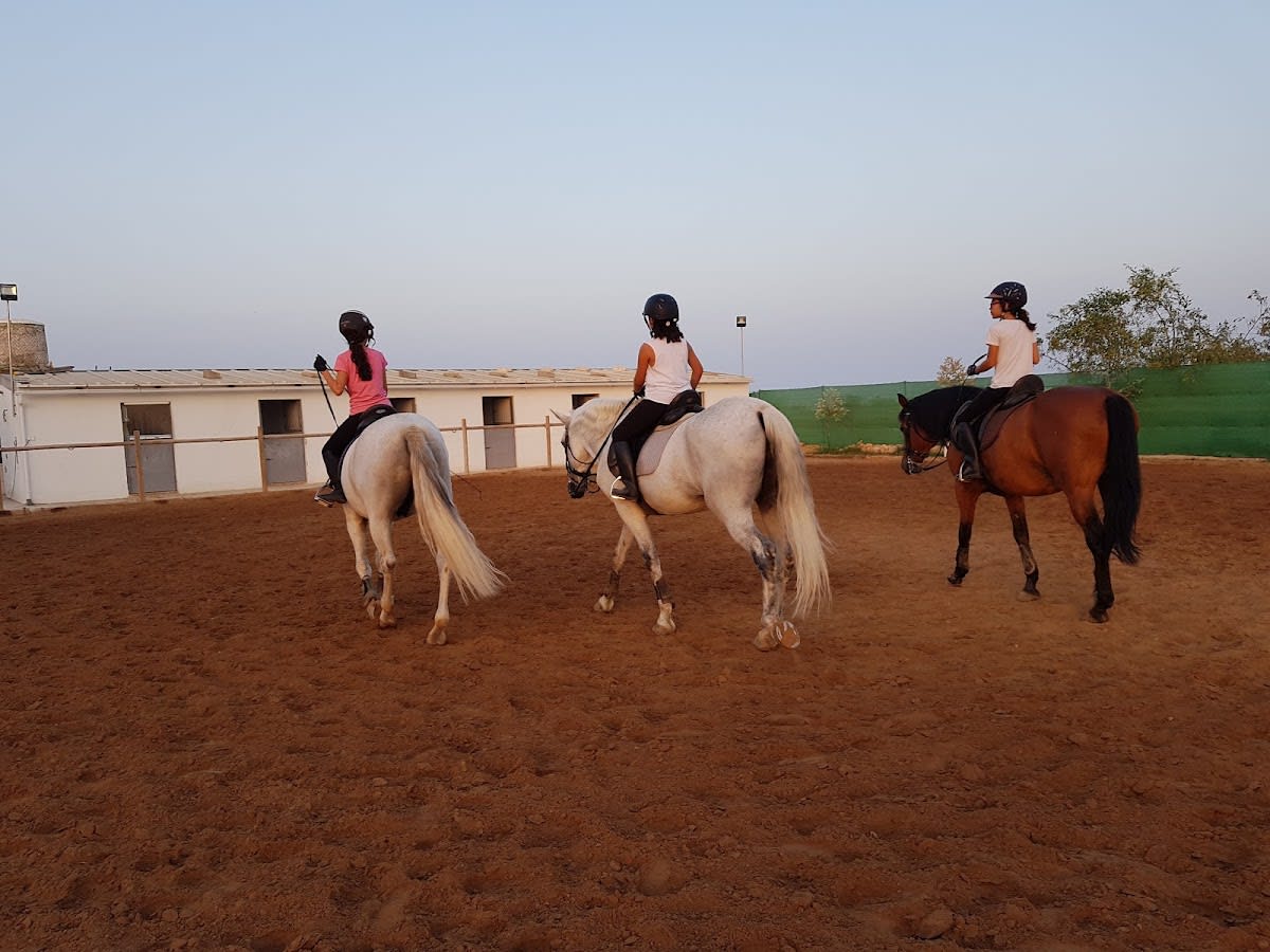 Al Sielo Equus - Hipica in San Miguel de Salinas
