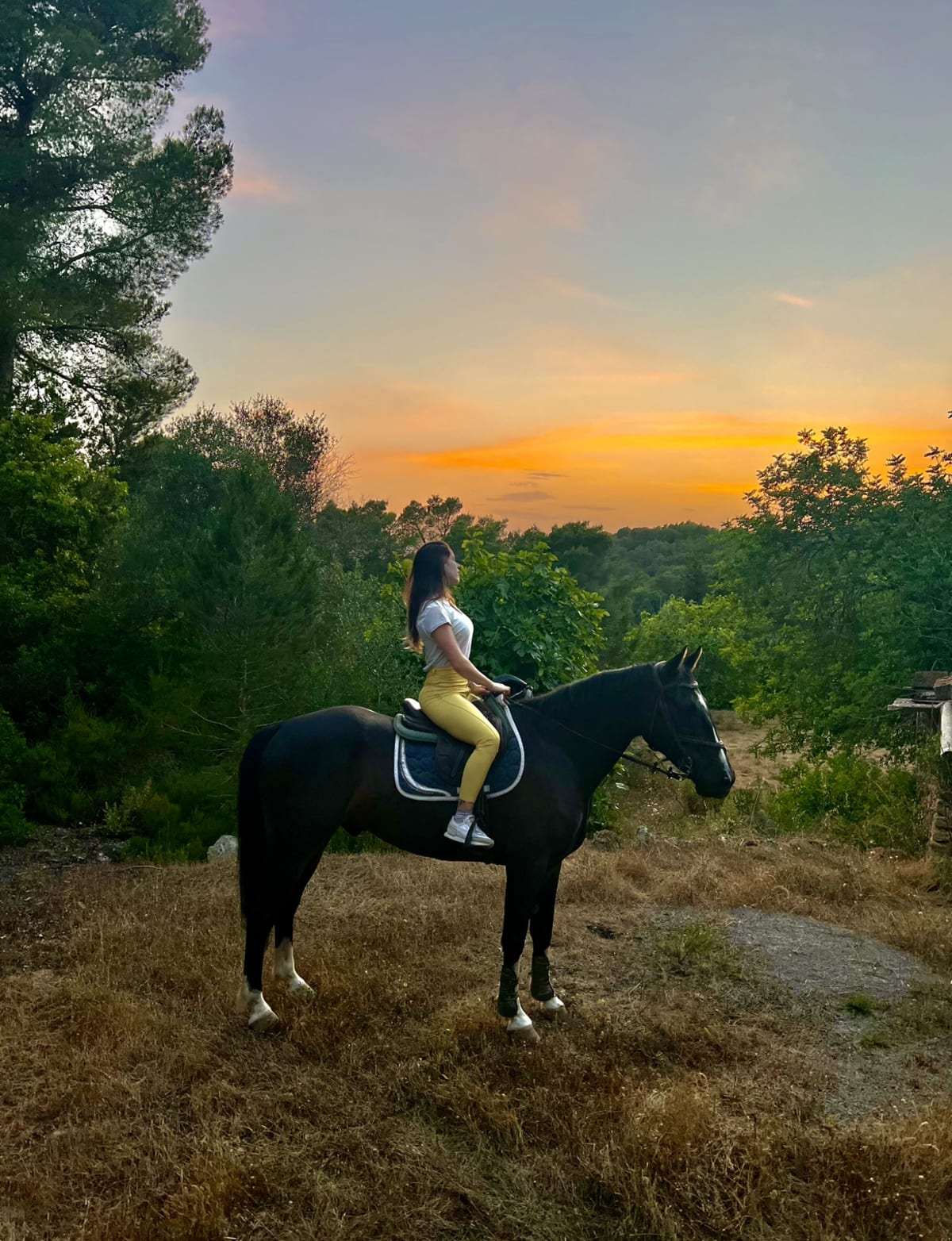 Ibiza stud - Hipica in Santa Gertrudis de Fruitera