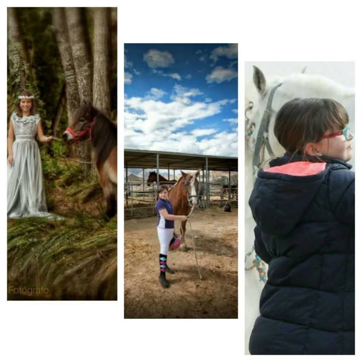 Yeguada Tudela Espin - Hipica in Mazarrón