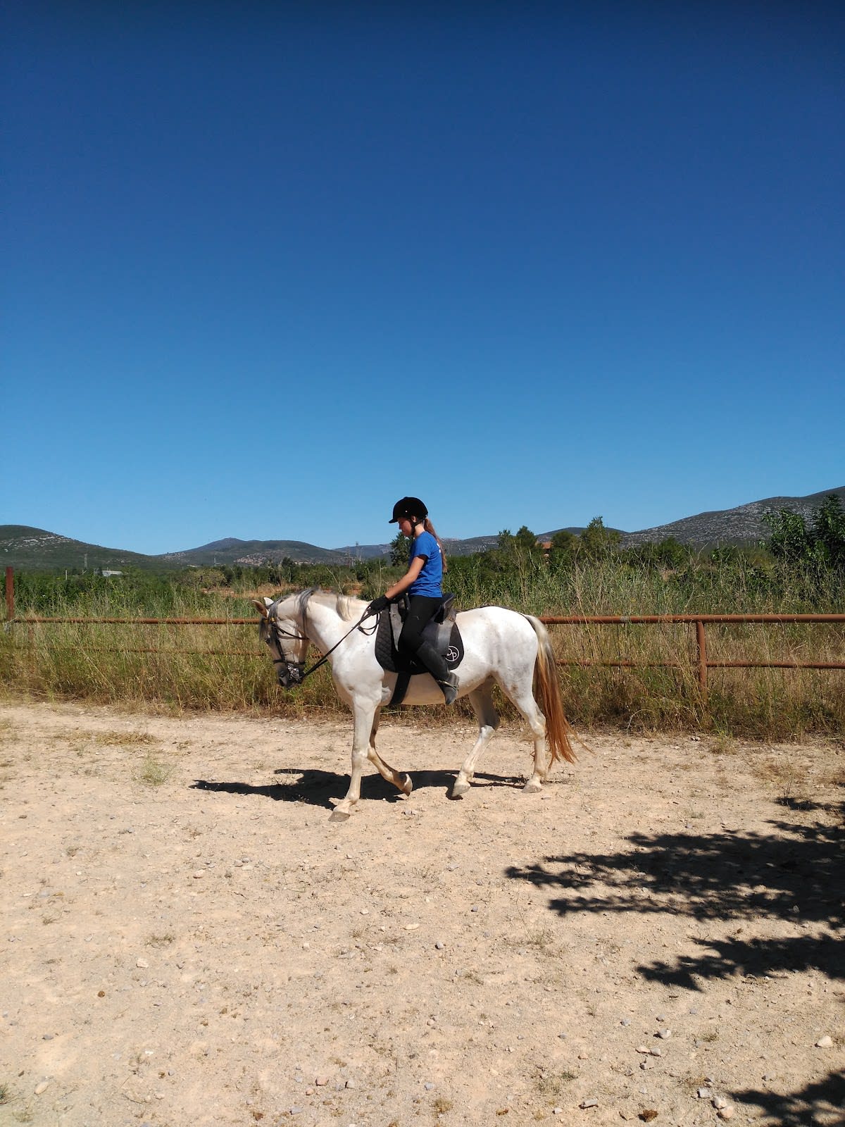 Yeguada Domenech Picazo - Hipica in Santa Magdalena de Pulpis