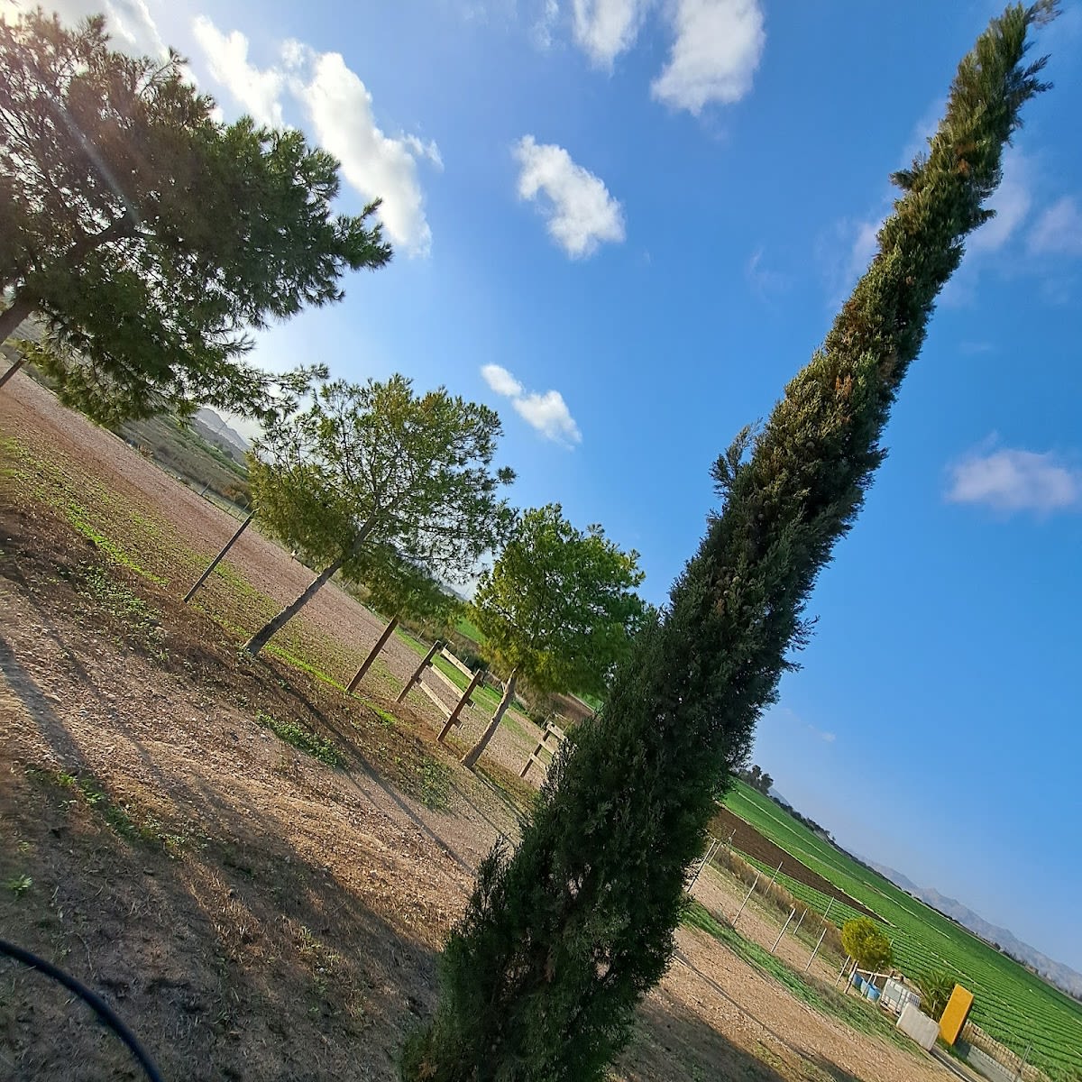 GUESOL - Hipica em VERA