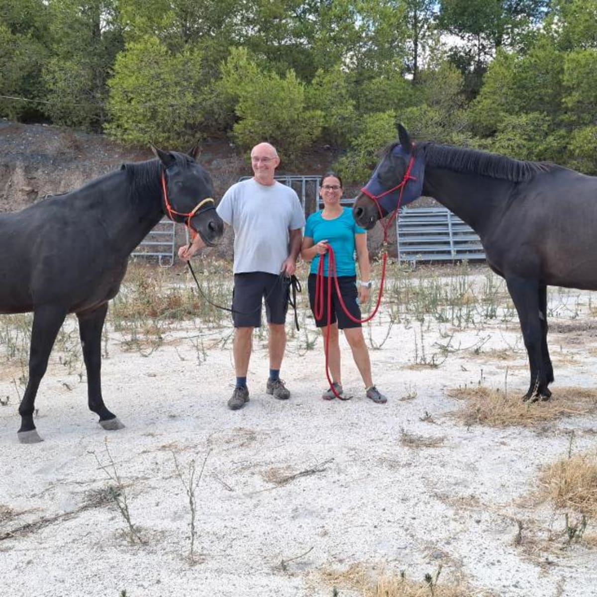 Finca Puccini - Hipica in Barranco de los Asensios