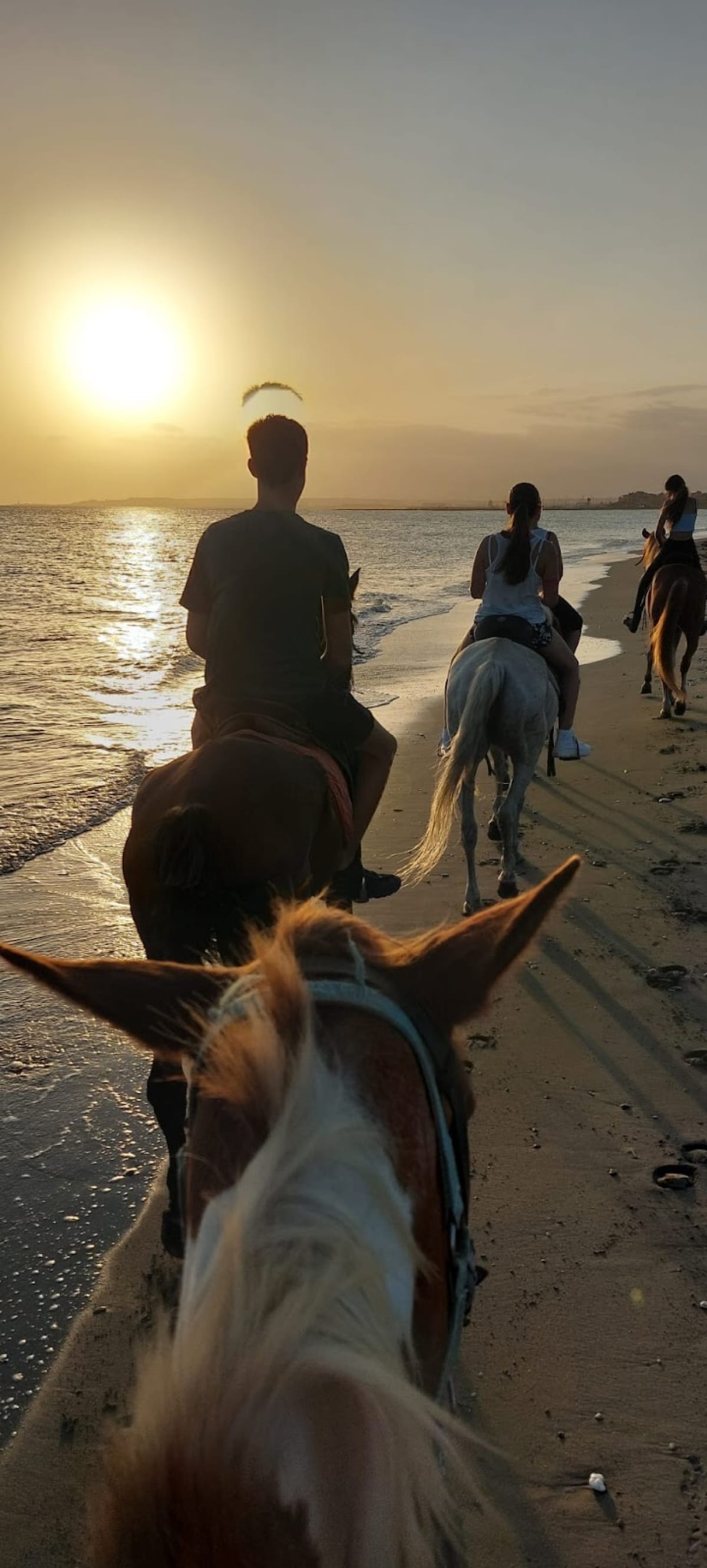 Hípica Almerimar - Hipica in El Ejido