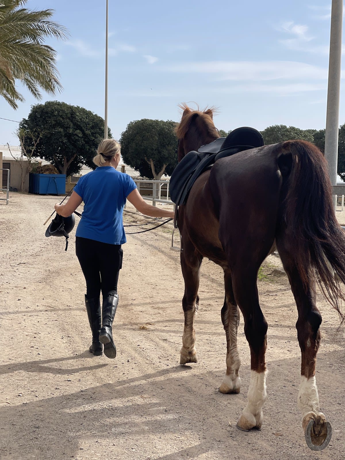 Escuela Hípica El Tomillar - Hipica in El Ejido