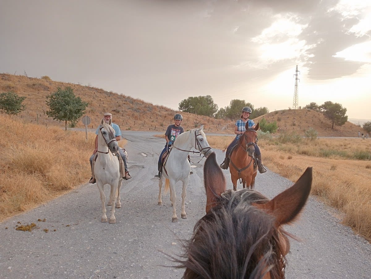 Escuela de equitación Boremai - Hipica in Purchil
