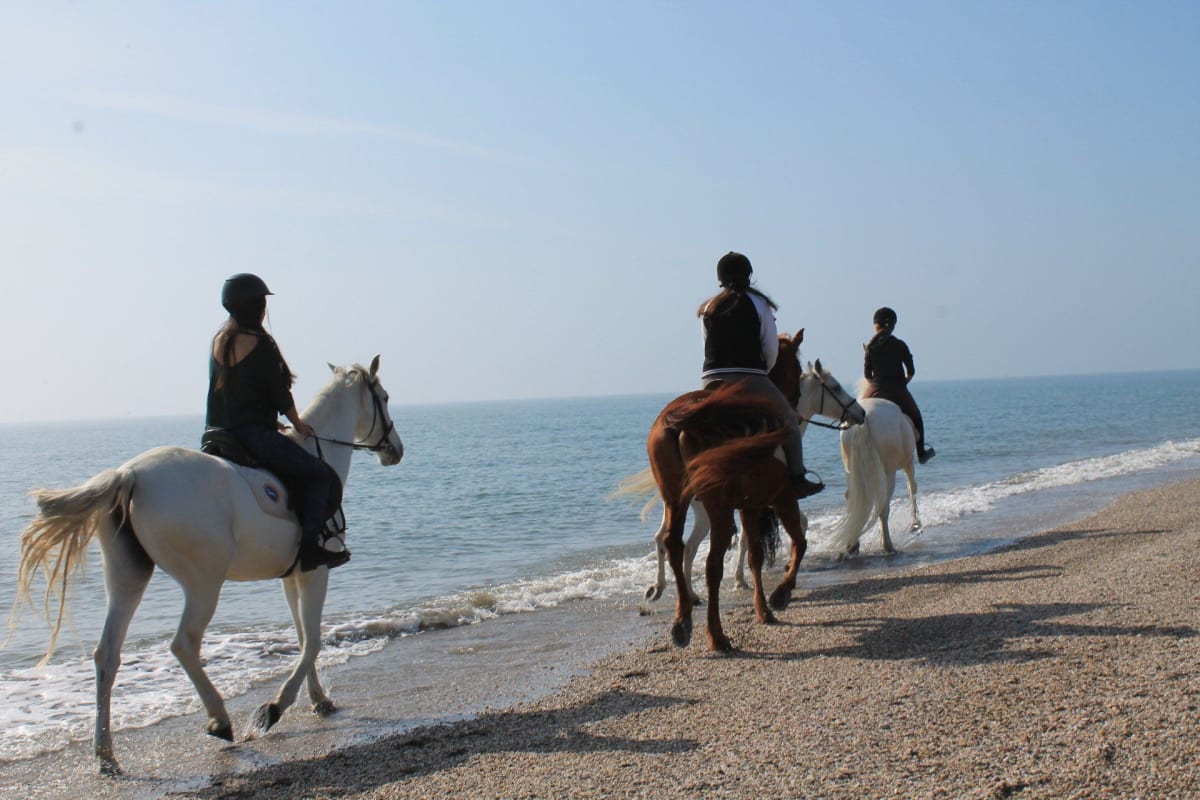 Vacaciones a Caballo - Hipica em Roquetas de Mar