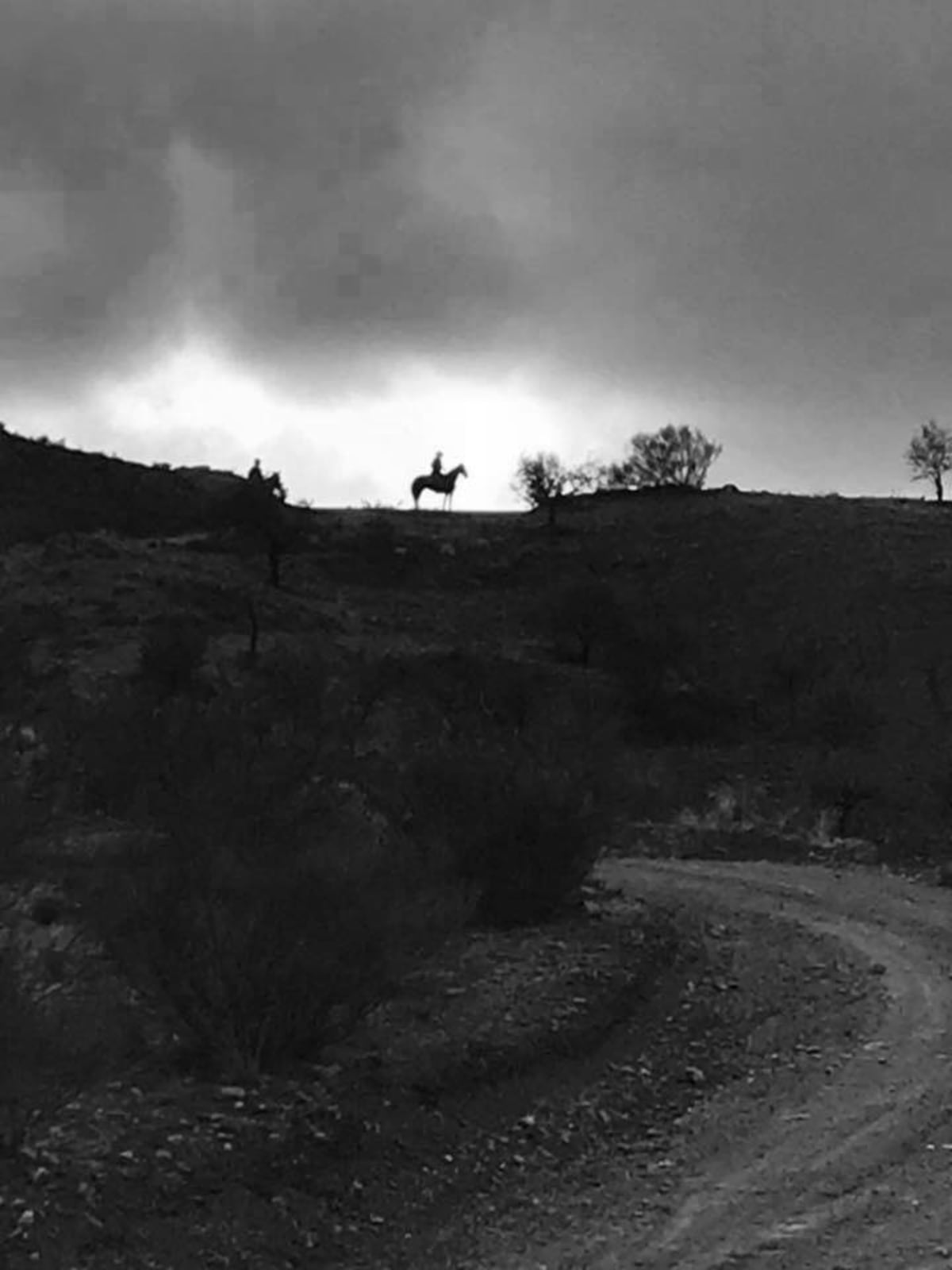 hipica la cinta - Hipica in La Cinta