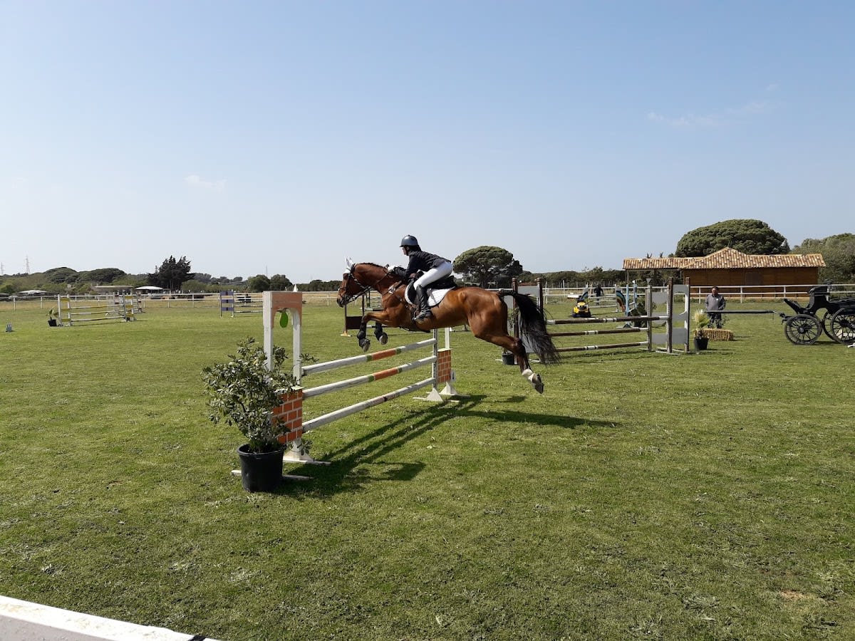 Hipica Bahia Verde - Hipica en Puerto Real