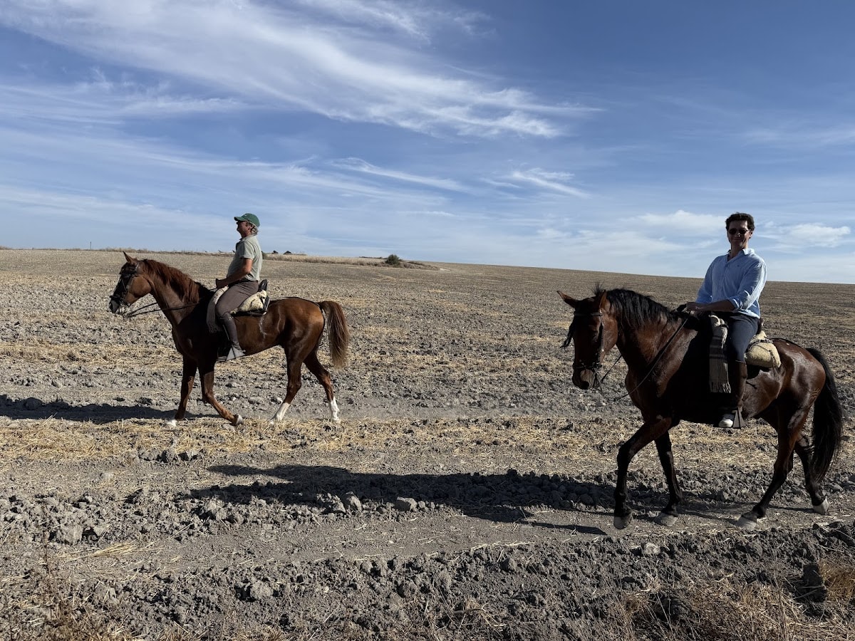 Alcantara Ecuestre - Hipica a Jerez de la Frontera