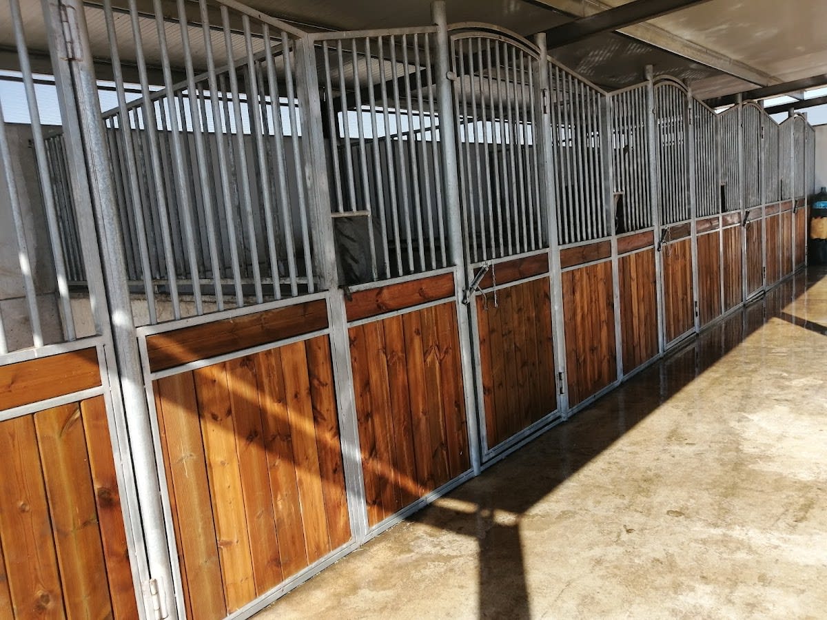 Centro Hípico Dos Álamos - Hipica in Villamartín