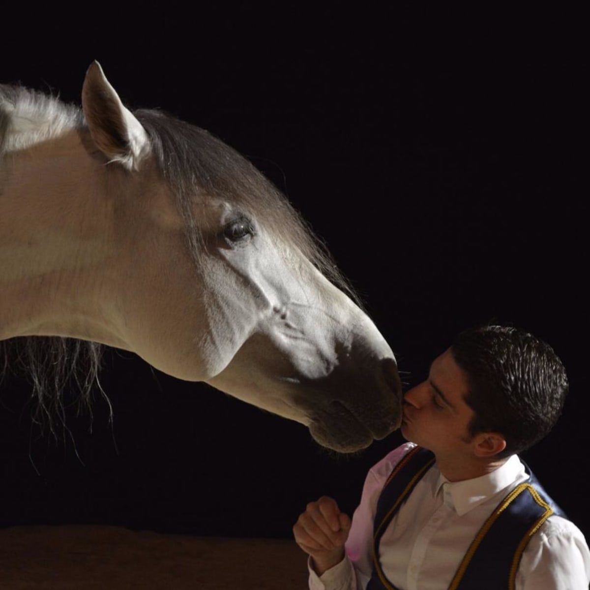 Centro Ecuestre "El Rocío" Coín - Hipica en Coín