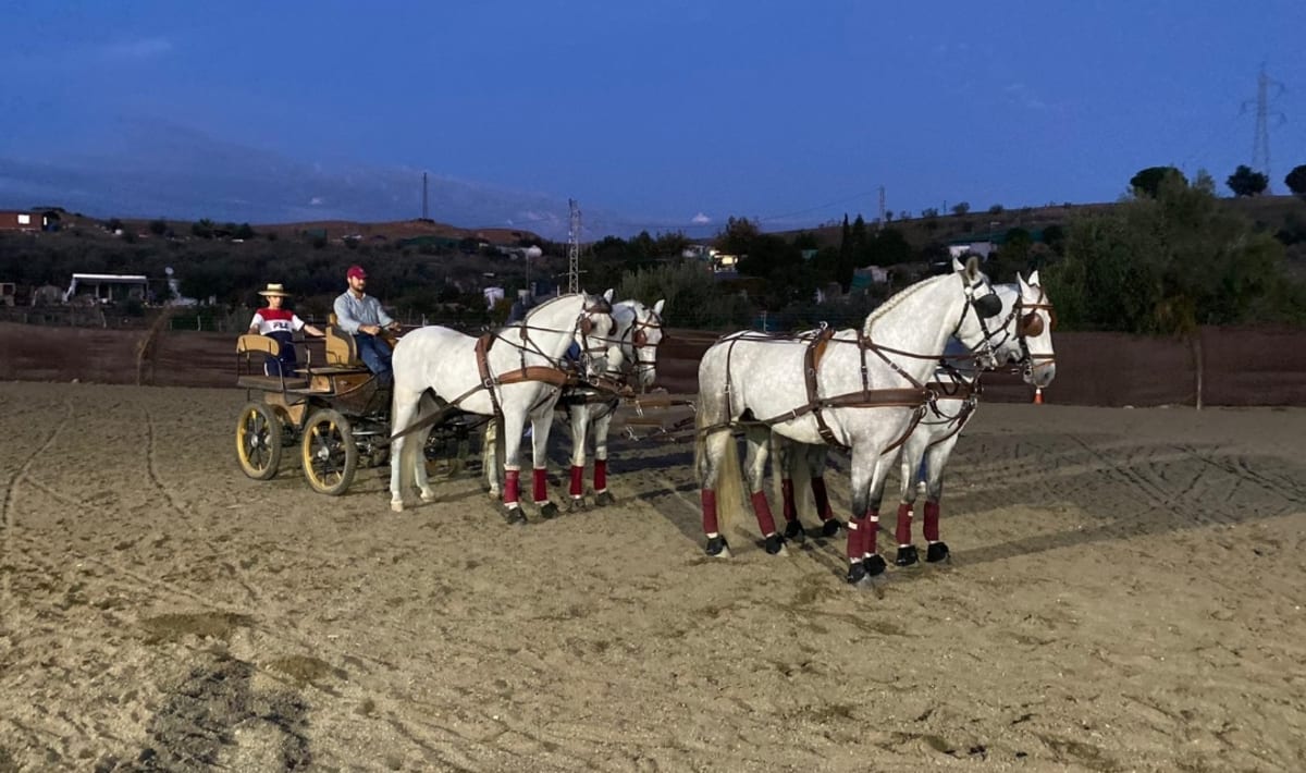 Centro Ecuestre La Aljaima - Hipica in Nueva Aljaima