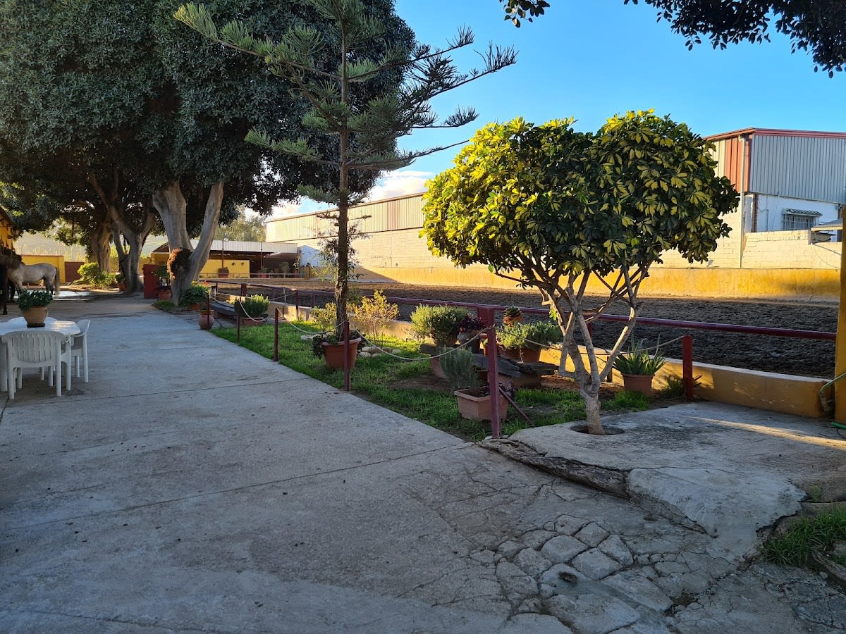 Centro Hípico Dana - Hipica in Las Lagunas de Mijas