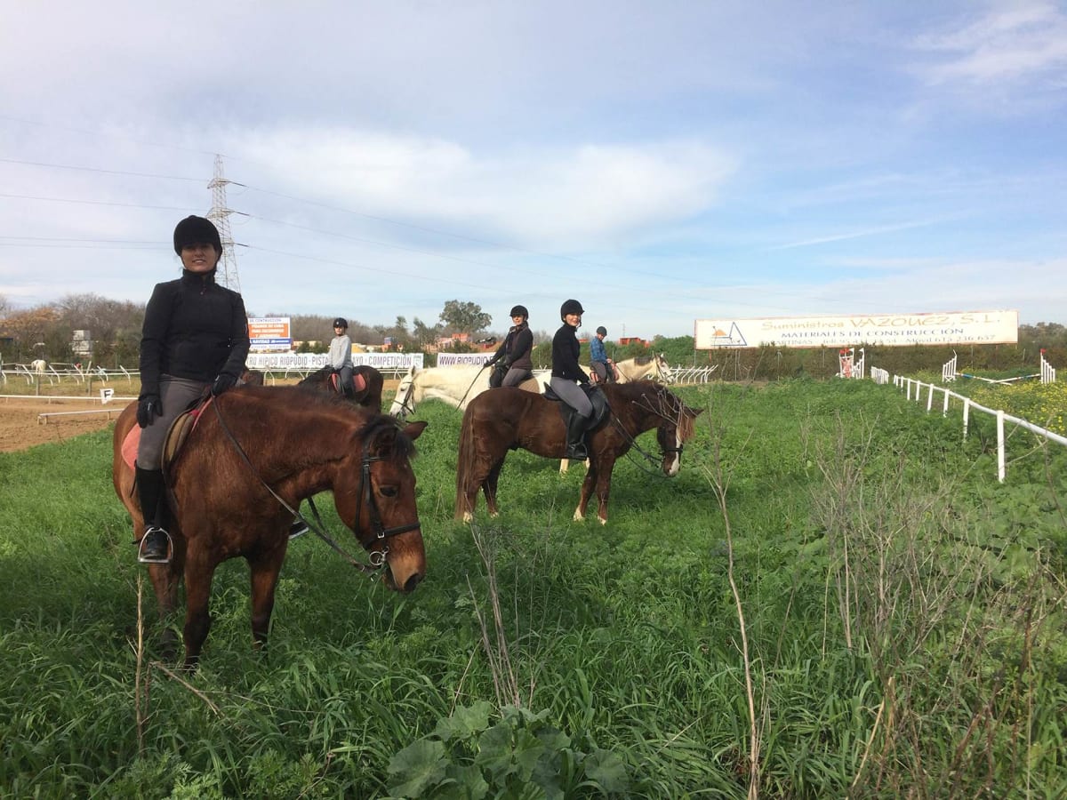 Centro hípico riopudio - Hipica in Espartinas