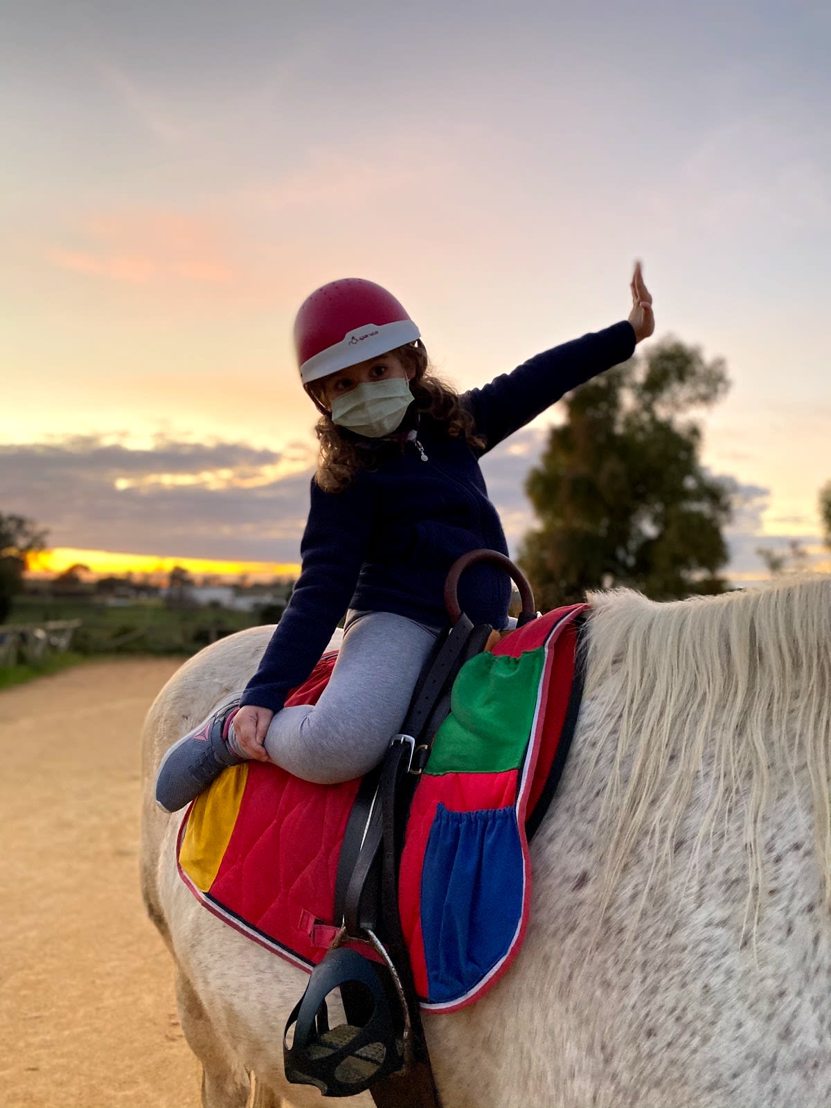 Asociación Alcalareña de Terapias La Magia Ecuestre - Hipica in Alcalá de Guadaíra