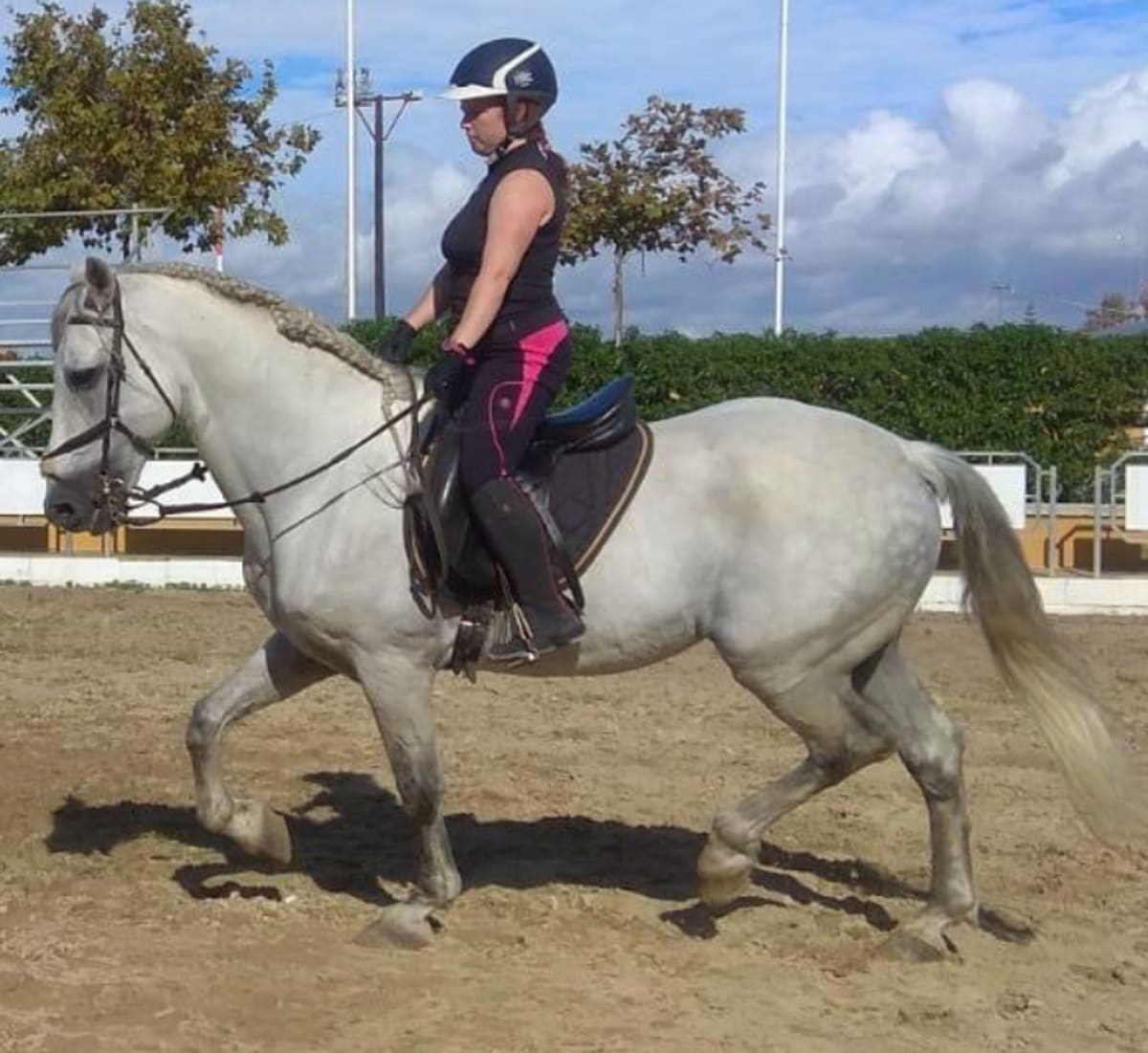 Escuela Municipal De Hípica Francisco De Paula Ortega García - Hipica in Rota