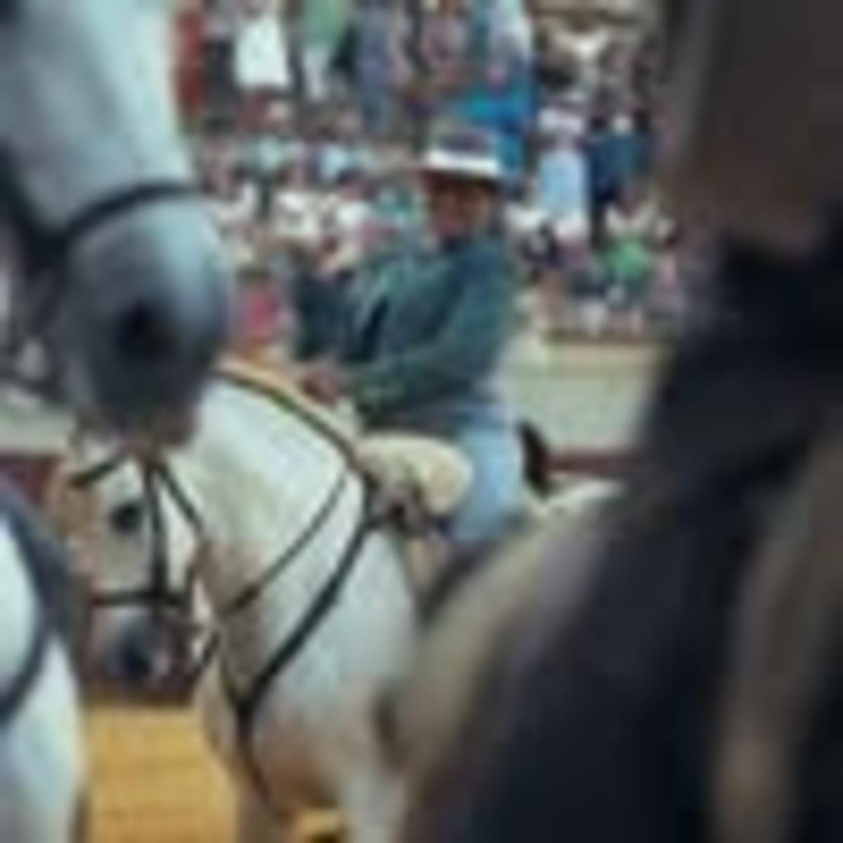 Escuela de Equitacion Mercedes Galán - Hipica en Morón de la Frontera