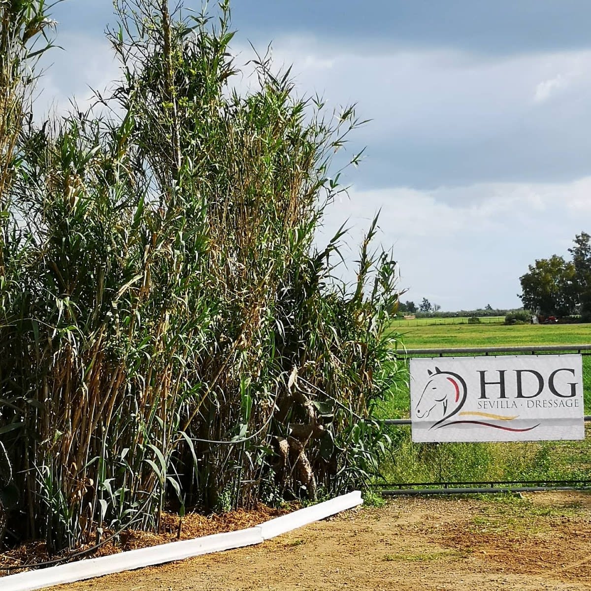 HDG Sevilla dressage - Hipica in Utrera