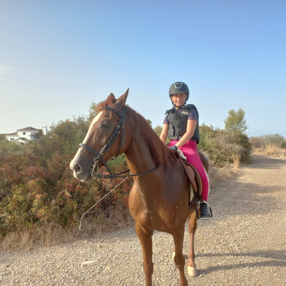 Finca Caballos Al Kadar - Hipica a Estepona