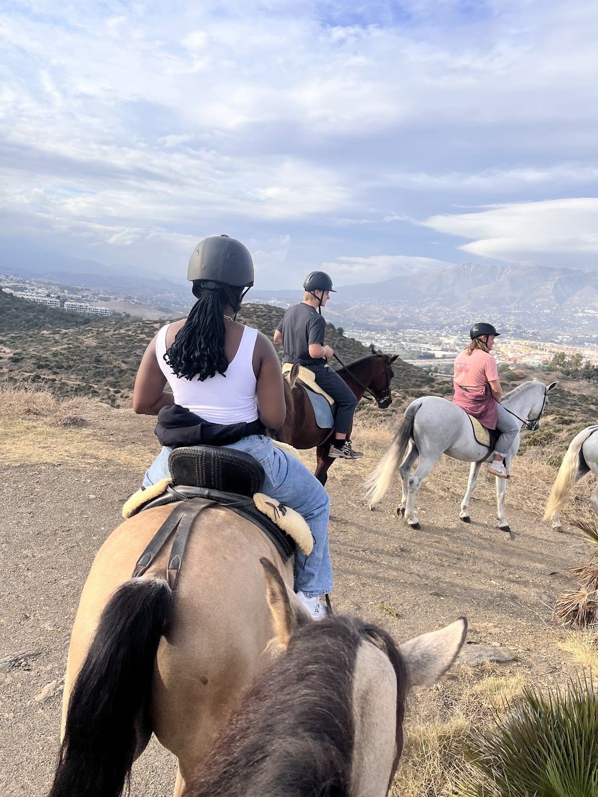Caballo Aventura - Hipica em Mijas