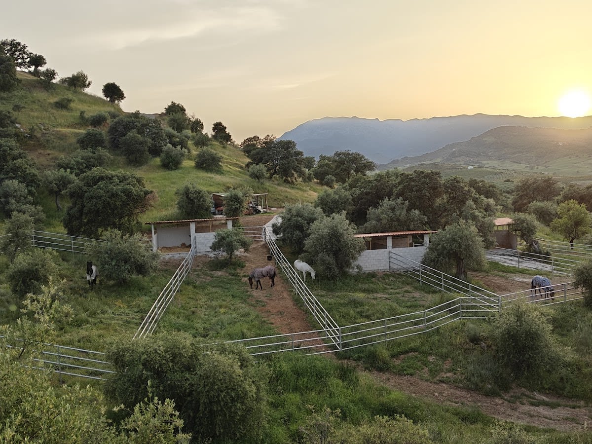 Centro Hipica Paseos Alegres - Hipica in Coín