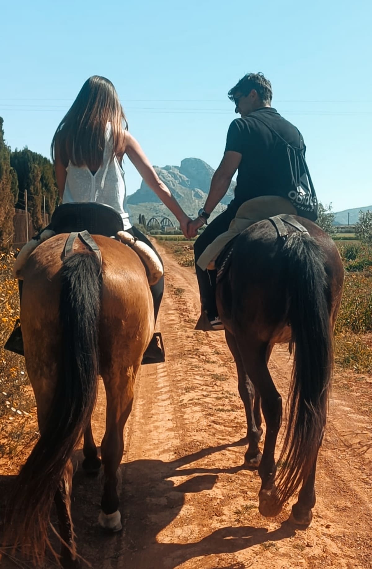 Rutas a caballo La Vega-Equitación - Hipica en Antequera