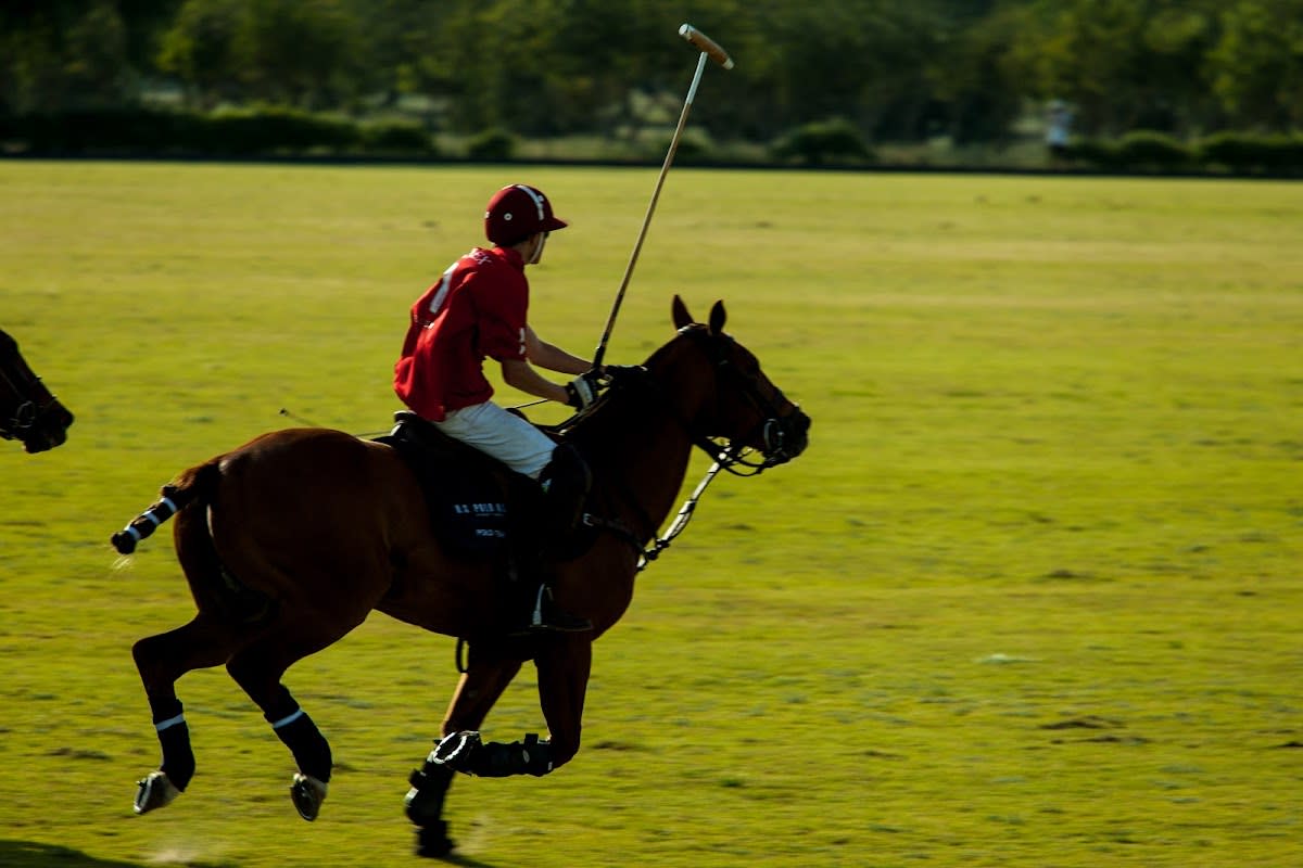 POLO DEL SOL - Hipica a Jerez de la Frontera