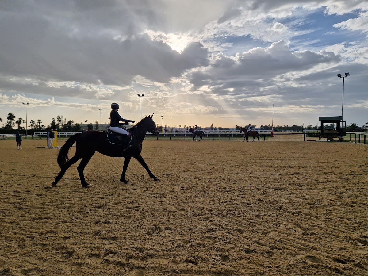Hipódromo de Pineda - Hipica in Sevilla