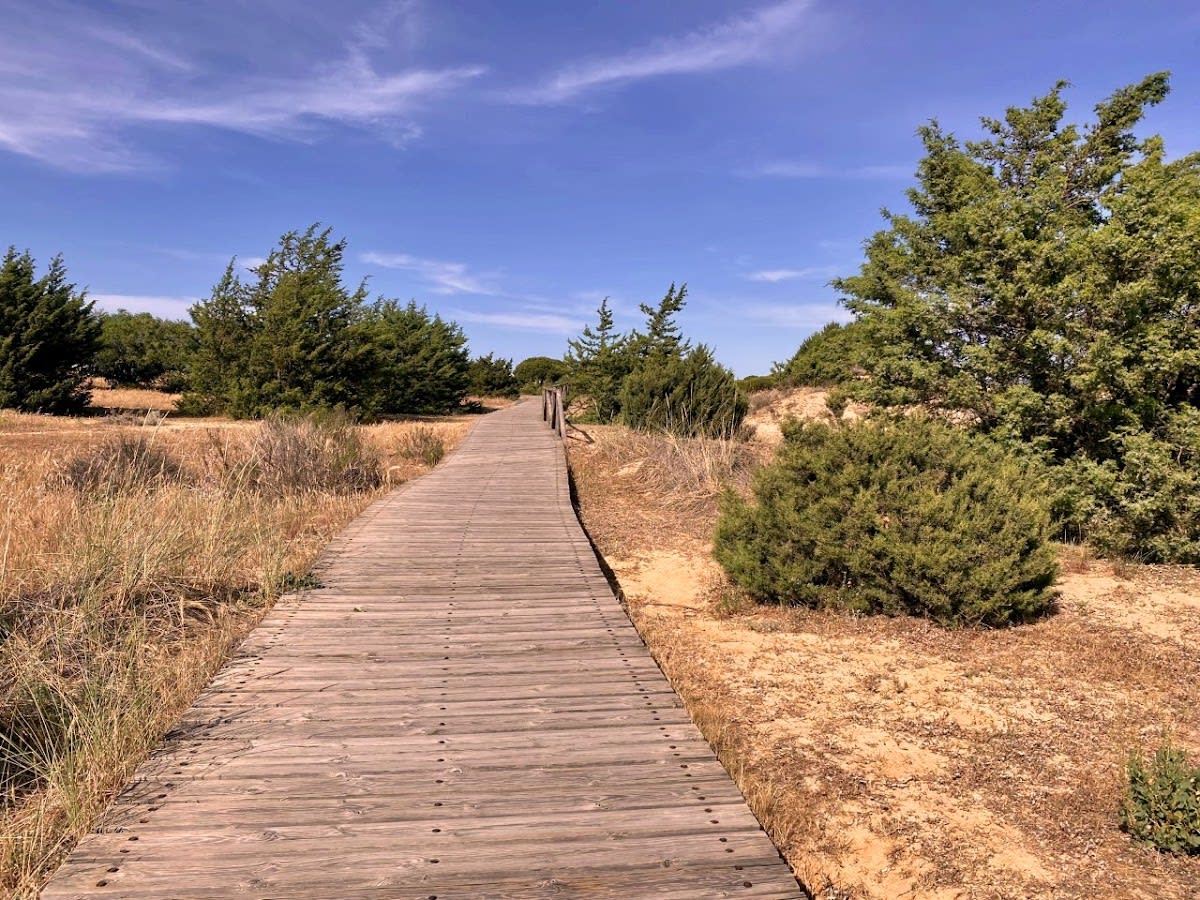 Asociación Parque Dunar Matalascañas - Hipica in Matalascañas