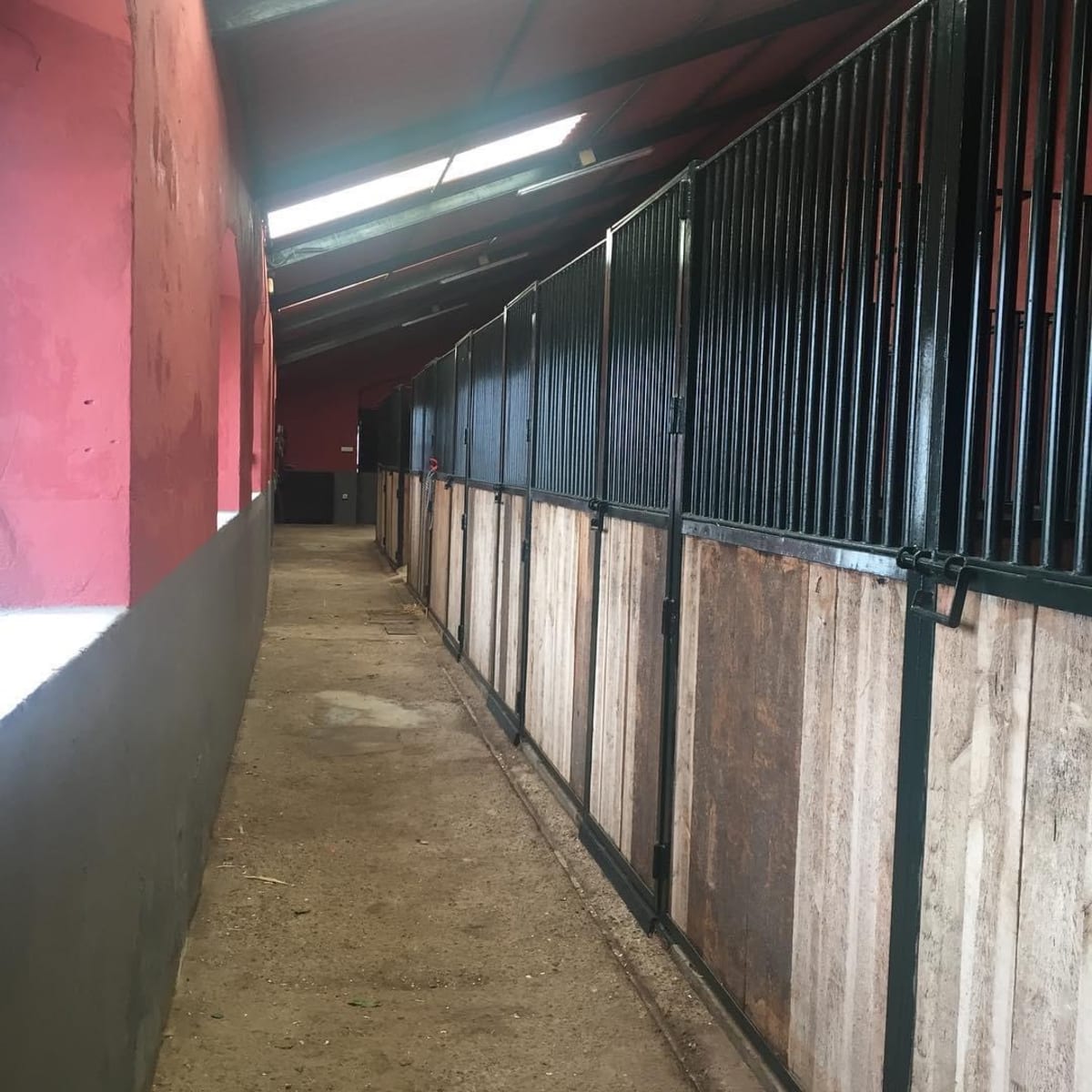 Equus Service - Hipica en El Palmar de Troya