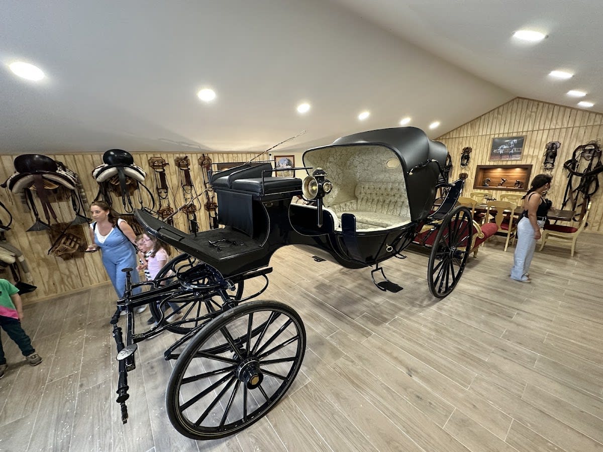 Ronda a Caballo de David Chaves - Hipica in Ronda