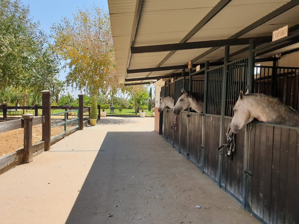 El Carmen - Hipica in Pilas