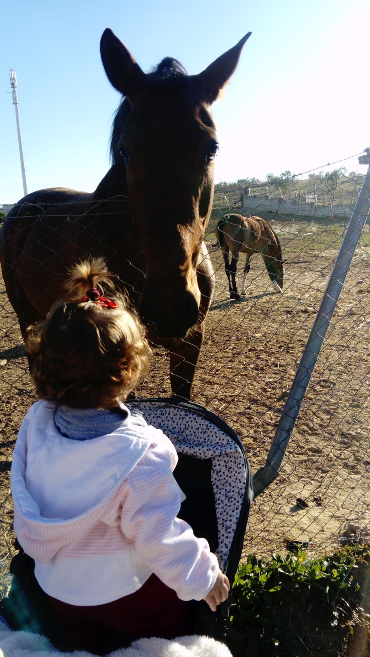 Finca La Paz - Hipica in Albaida del Aljarafe