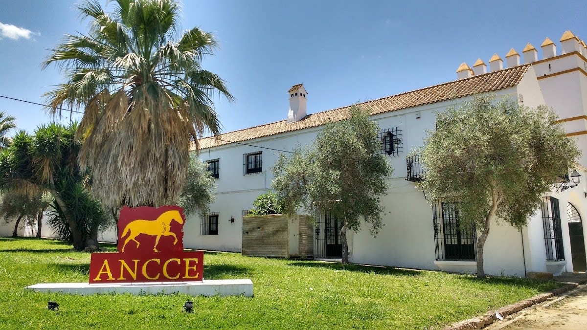 ANCCE - Hipica in viejo