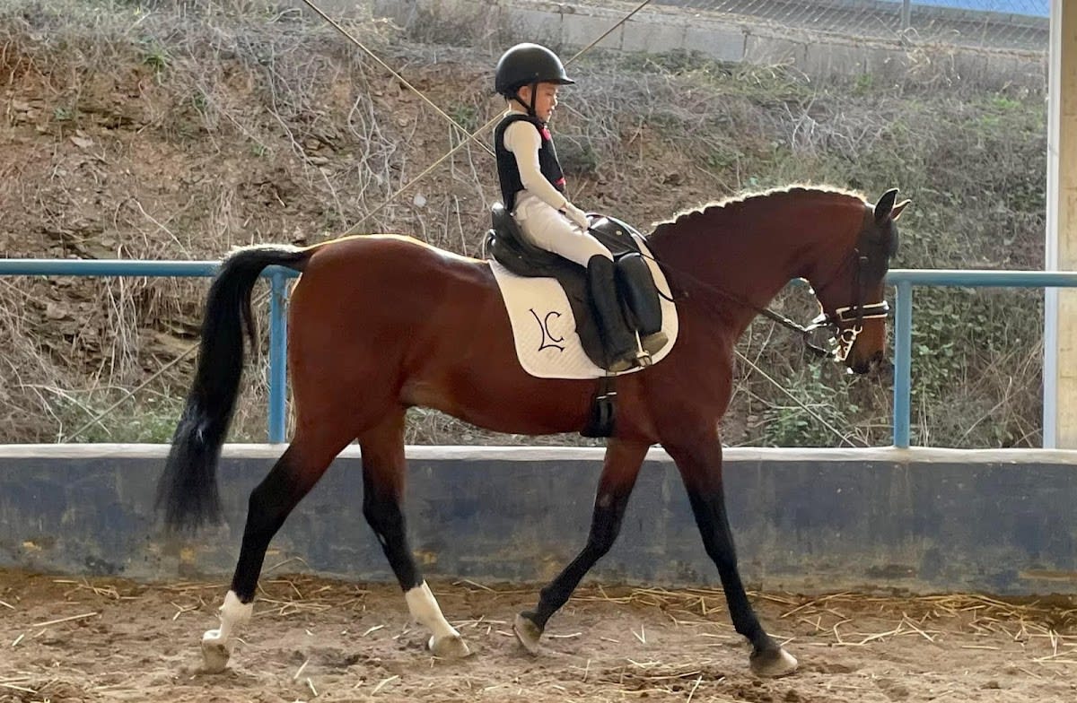 Centro de equitacion La Cartuja - Hipica in Alhaurín el Grande