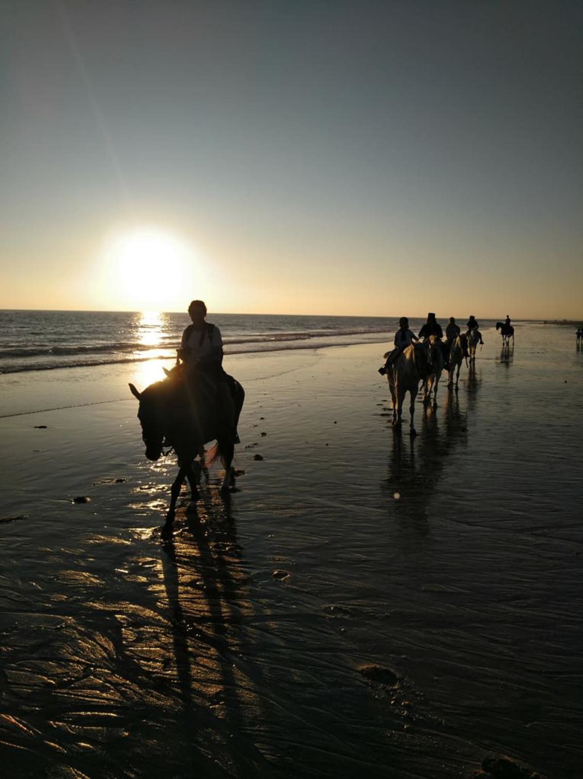 Picadero Peña - Hipica in El Palmar de Vejer