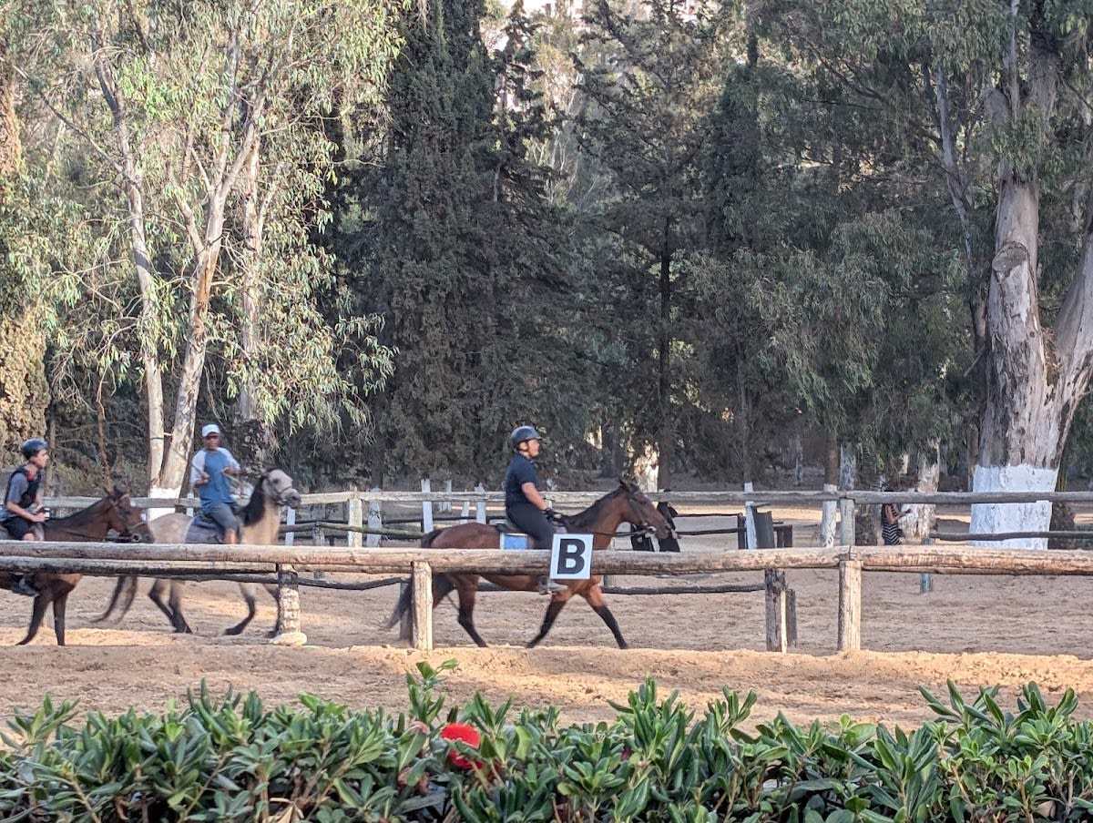 Royal Equestrian Club - Hipica in Tangier