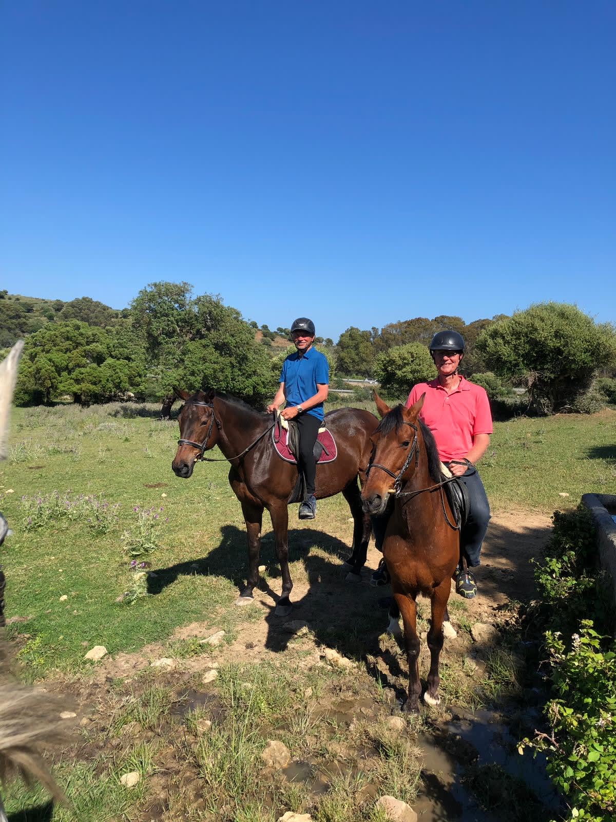 Horses Marbella - Hipica in San Roque
