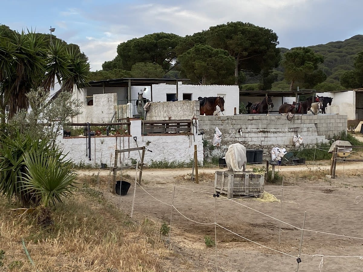 Los Alamos Riding - Hipica in Cádiz