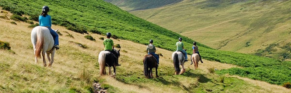 Horse Ride Andalucia - Hipica in Mijas