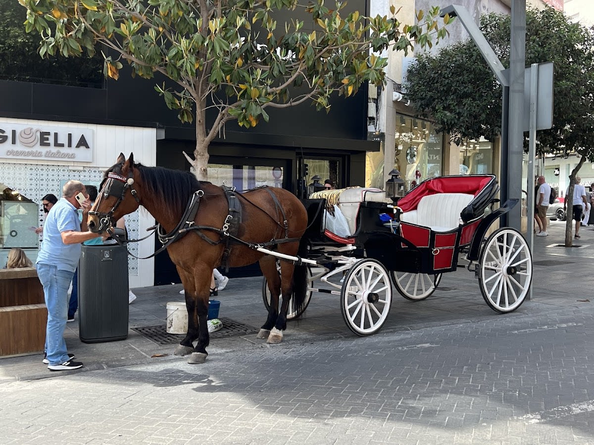 Horse Station - Hipica in Marbella