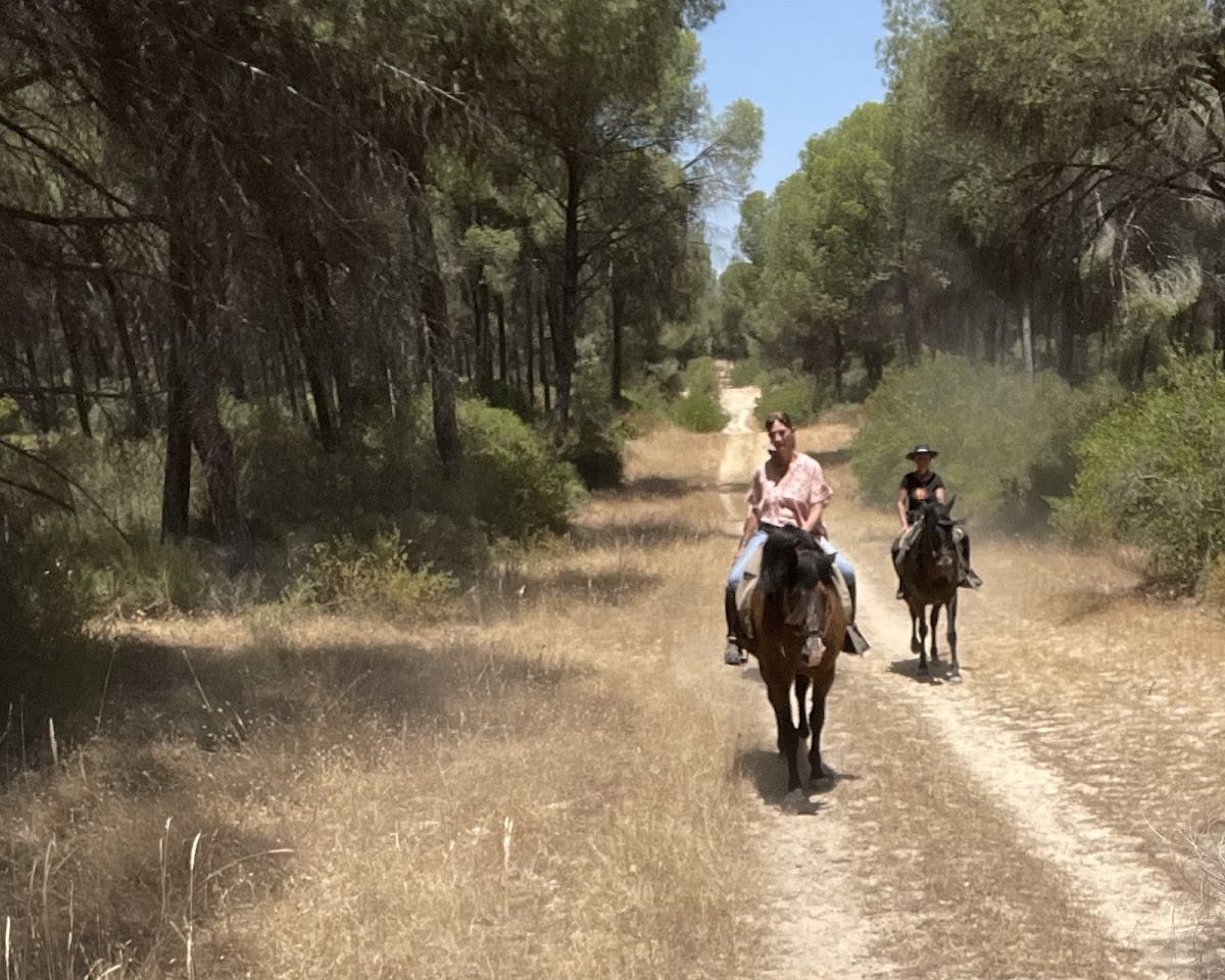 Finca La Habana - Hipica in El Rocío