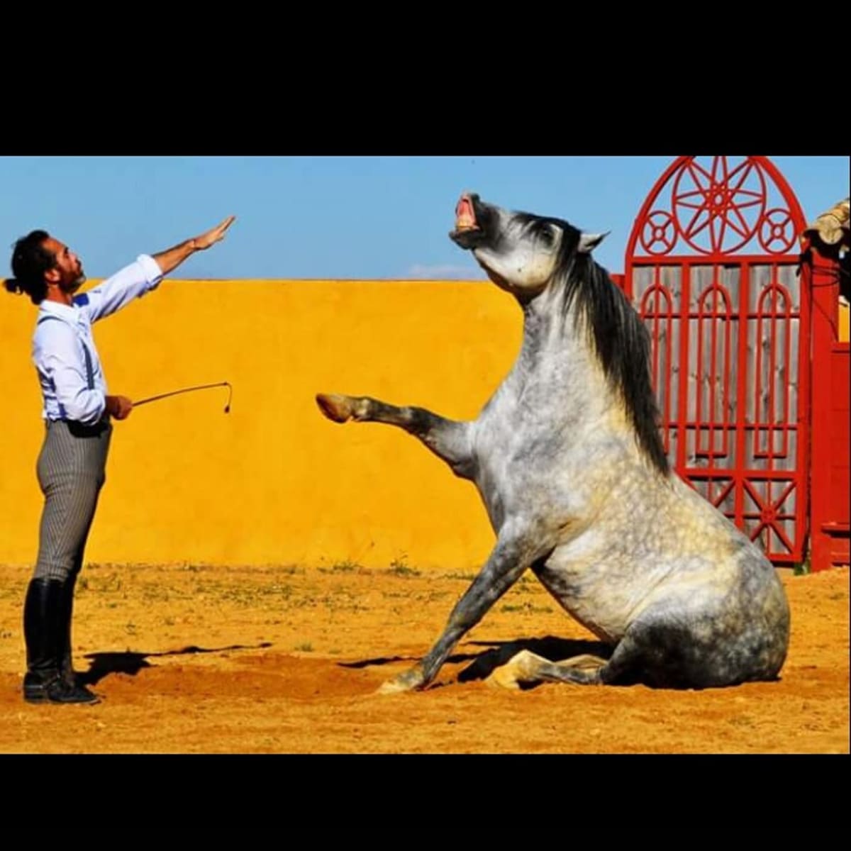 Finca La Ronquera - Hipica em Carmona