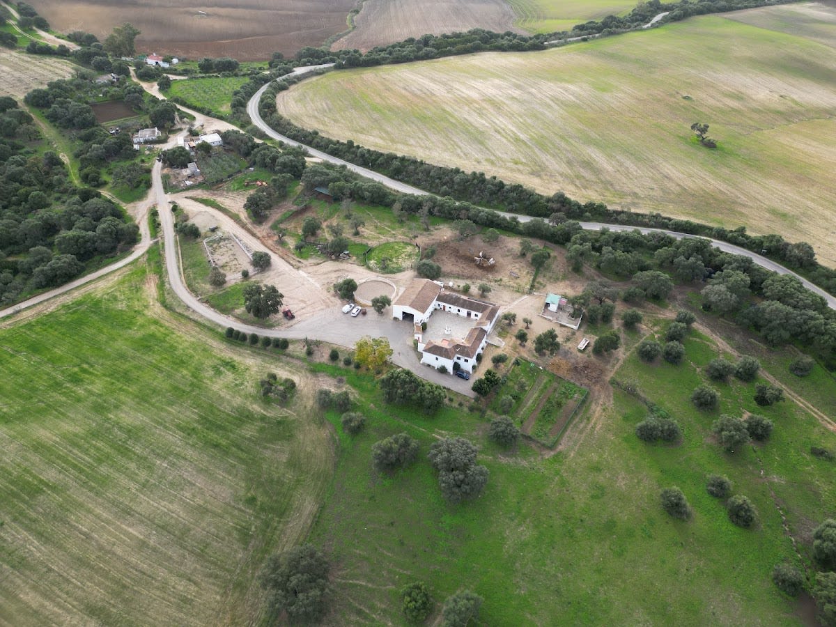 Yeguada Pilar Reyes - Hipica in Arcos de la Frontera