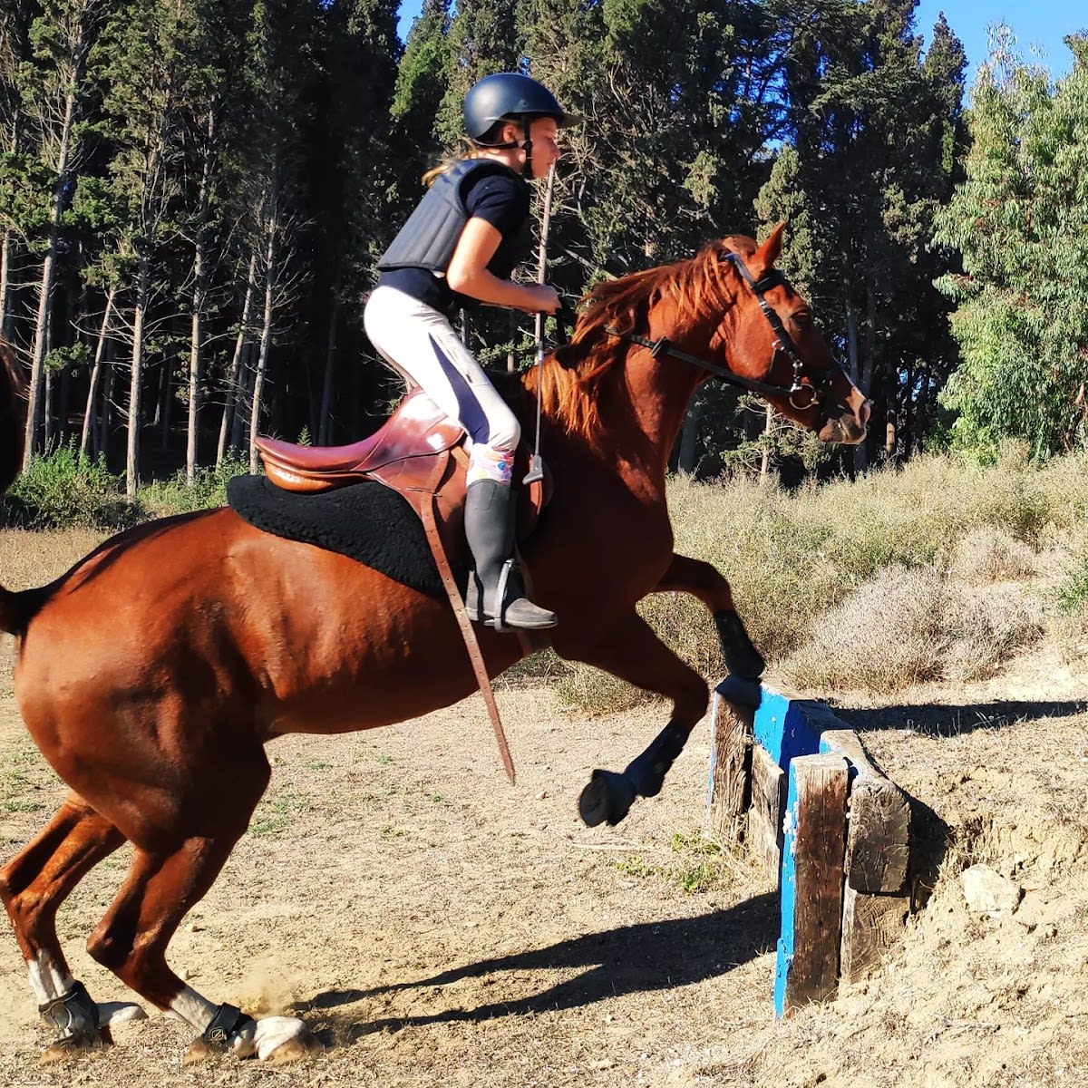 Club de Equitación Natural - Hipica a Los Barrios